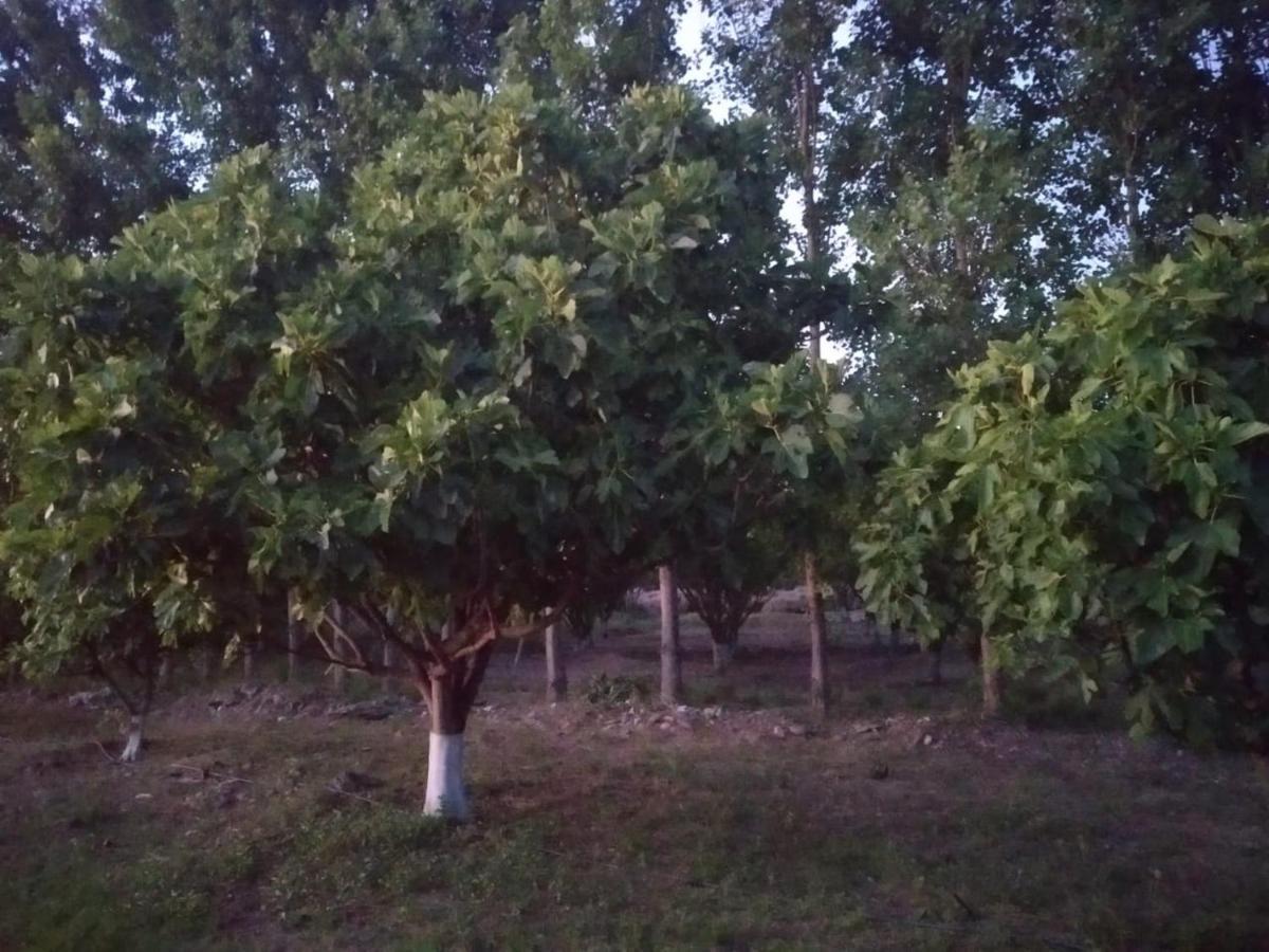 Finca La Julia Luyaba Exteriör bild