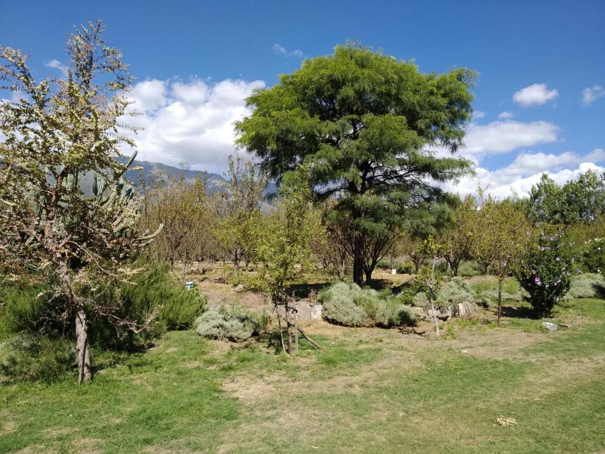 Finca La Julia Luyaba Exteriör bild