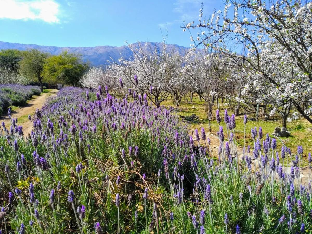 Finca La Julia Luyaba Exteriör bild