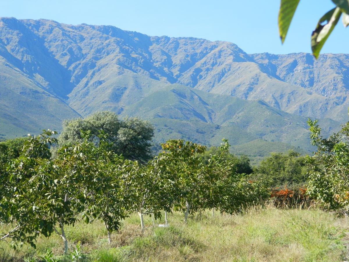 Finca La Julia Luyaba Exteriör bild